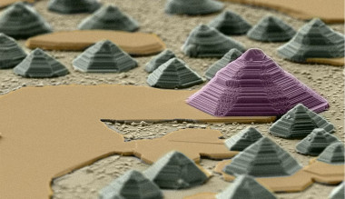 <p>‘Maravillas del micromundo’. / Carlos López Pernía</p>