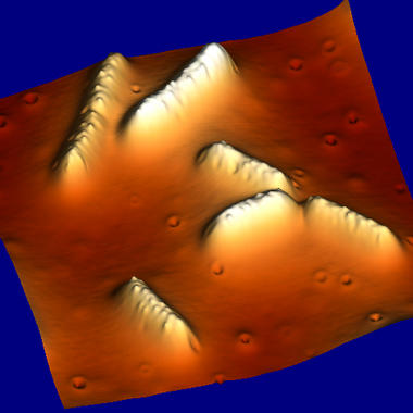 <p>Imagen de microscopía de fuerzas atómicas (AFM) de células de <em>Geobacter</em> sobre superficie de grafito. Celia Rogero y Abraham Esteve.</p>