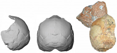 <p>Reconstrucción del cráneo Apidima 1. / Katerina Harvati, Eberhard Karls University of Tübingen</p>