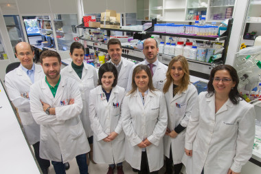 <p>Silve Vicent (centro) junto con su equipo del CIMA y de la Clínica Universidad de Navarra. / Manuel Castells</p>