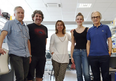 <p>De izquierda a derecha, Alberto Pérez, Aitor Palomino, María Domercq, Alazne Zabala y Carlos Matute, personal investigador de la UPV/EHU, centro Achucarro y ciberNed. / UPV/EHU</p>