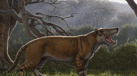 Simbakubwa kutokaafrika