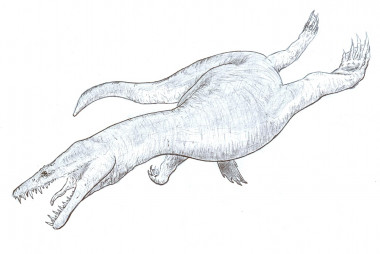 <p>Representación gráfica de notosaurio. / Jesús Reolid.</p>