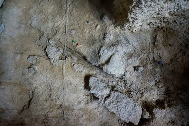 <p>Al lado del punto verde se observa la huella de los restos de madera, uno de los casos registrados este verano en el Abric Romaní, con una antigüedad de 60.000 años / Palmira Saladié | IPHES</p>