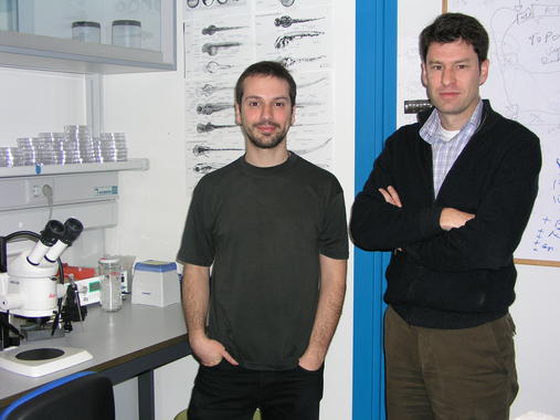 <p>El investigador Fernando Casares (izda.), con el colaborador José Bessa. Imagen: UPO.</p>