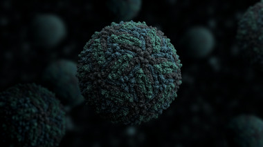 <p>Imagen en 3D del virus del Zika. / Manuel Almagro Rivas</p>