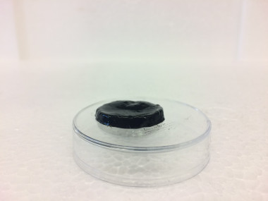 <p>Muestra del hidrogel de grafeno y almidón desarrollado por los investigadores. / Kizkitza Gonzalez / UPV/EHU</p>