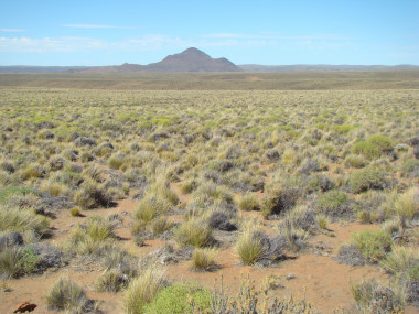 <p>Uno de los ecosistemas muestreados en la Patagonia, Argentina / Fernando T. Maestre</p>
