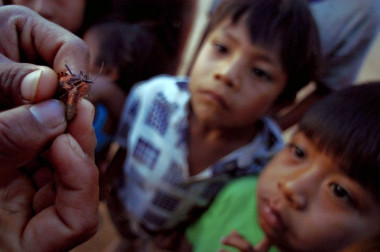 <p>Niños bolivianos observan dos insectos vinchuca (chinches triatominos) que causan la enfermedad del chagas. / Christian Lombardi / ZUMA Press </p>