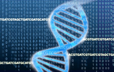 <p>La doble hélice de ADN sobre bases nitrogenadas y números binarios. / Jonathan Bailey, National Human Genome Research Institute</p>