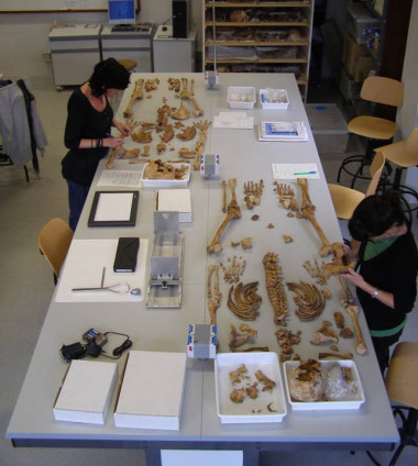 <p>Identificación de restos óseos. Foto: UAM.</p>