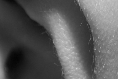 <p>El estudio detecta diferencias genéticas en la eficacia con la que el colículo inferior codifica las señales auditivas. / <a href="http://www.agenciasinc.es/Multimedia/Fotografias/Identifican-las-celulas-que-procesan-los-sonidos-altos" target="_blank">WINDELBO</a></p>