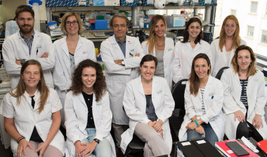 <p>Grupo Investigación traslacional en oncología hepática del IDIBAPS (Foto: Francesc Avia)</p>
