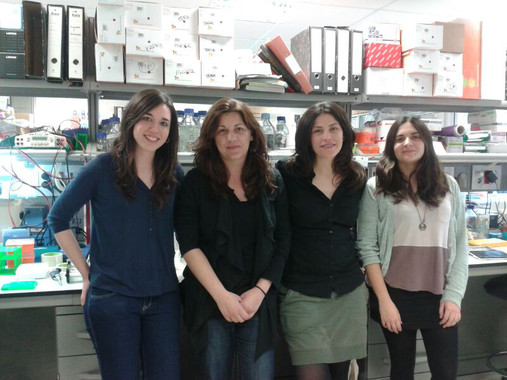 <p>De izquierda a derecha: Alba Azagra, Maribel Parra, Olga Collazo y Irene Fernández-Duran. / IDIBELL</p>