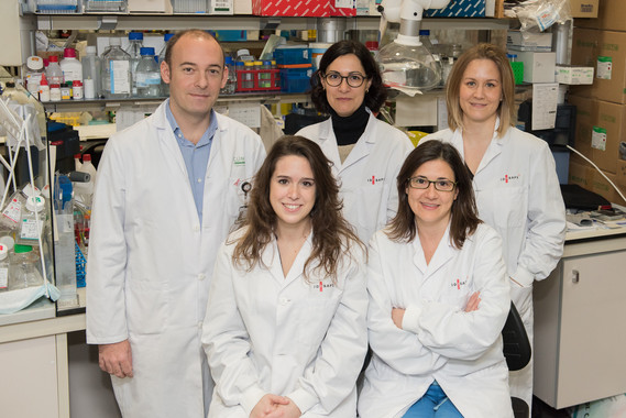 <p>Investigadores del equipo Genómica Traslacional y Terapias Dirigidas en Tumores Sólidos del IDIBAPS. / Francisco Avia / Hospital Clínic</p>
