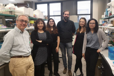 <p>Antonio Zorzano y el equipo del laboratorio de Enfermedades Metabólicas Complejas y Mitocondrias que ha participado en esta investigación. / IRB Barcelona</p>