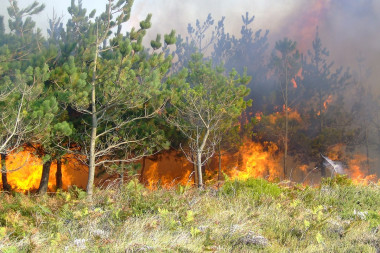 <p>Incendio forestal en Galicia en el verano de 2006. / WWF España-Felix Romero</p>
