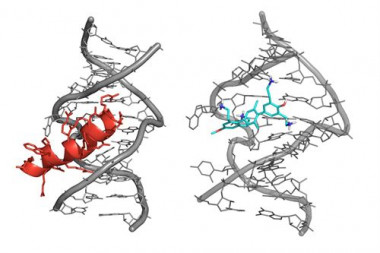 <p>La molécula de terfenilo (en azul) se une al mismo receptor que la proteína Rev (en rojo)./ ISCIII</p>