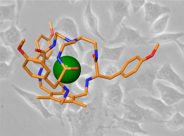 <p>Estructura de una de las jaulas con el ión cloruro encapsulado sobre un fondo de células de adenocarcinoma de pulmón humano. (Los tamaños de ambos no son reales y se han modificado por razones estéticas). / Ignacio Alfonso y Daniel Carbajo</p>