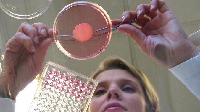 <p>La mutinacional cosmética ya cultiva piel en sus laboratorios de Lyon, pero necesita incrementar la producción./ L’Oréal </p>