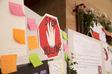 <p>El pasado 22 de mayo, una adolescente de 16 años se suicidió tras sufrir acoso escolar. / Olmo Calvo (Sinc)</p>