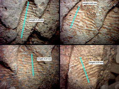 <p>Huellas dactilares ampliadas encontradas al suroeste de EE UU en fragmentos de tarros que datan del siglo XI. / John Kantner</p>