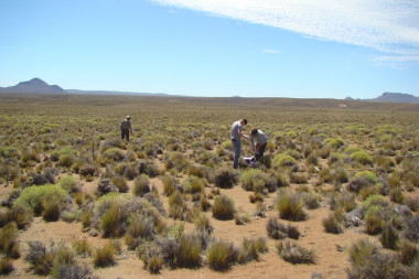 <p>Toma de muestras en Argentina. / Laboratorio de Zonas Áridas y Cambio Global, URJC</p>