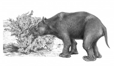 <p>Megaherbívoro marsupial extinto (<em>Diprotodon optatum</em>). Imagen: Peter Murray.</p>