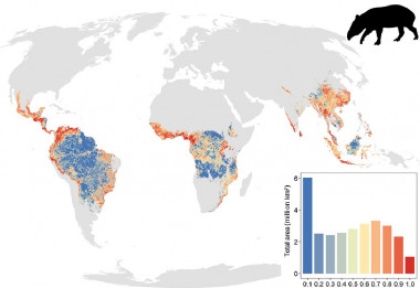 <p>Diferentes niveles de defaunación de grandes mamíferos en los trópicos. / Ana Benítez-López et al.</p>