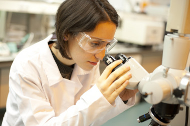 <p>En 2014 las instituciones españolas lograron ayudas para proyectos de excelencia ERC por encima de la media en Europa. / Fotolia</p>