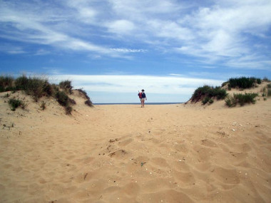 <p>Algunas de las zonas de dunas más afectadas deben esta inestabilidad al impacto humano. En la foto, cordón dunar seccionado. <a href="http://www.agenciasinc.es/esl/imagenes/inicio/(imagen)/78888" target="_self">Imagen: </a>Sara Muñoz Vallés et al.</p>