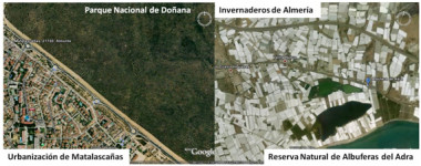 <p>Visualización del modelo de conservación vs. desarrollo económico en dos Espacios Naturales Protegidos de Andalucía: el Parque Nacional de Doñana (izquierda) y la Reserva Natural de las Albuferas del río Adra (derecha). Imágenes obtenidas de Google Earth. </p>