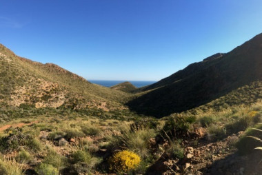 <p>Estepa en las inmediaciones del Cabo de Gata (Almería). Estos ecosistemas son altamente sensibles a la desertificación y el cambio climático / Beatriz Gozalo</p>