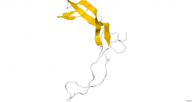 <p>La esclerostina es una proteína que en los humanos está codificada por el gen SOST. / <a href="https://en.wikipedia.org/wiki/Sclerostin#/media/File:2KD3.png" target="_blank">Wikipedia</a></p>