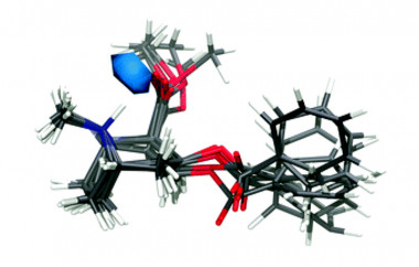 <p>Estructura atómica de la molécula de cocaína en solución acuosa. / Andrew J. Johnston et al./Univ. Oxford/UPC</p>