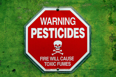 <p/>Los pesticidas estÃ¡n entre los agentes asociados a EPOC en el Ã¡mbito ocupacional / www.cgpgrey.comÂ ” /><span style=
