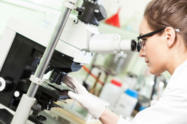 <p>El sector de la bioeconomía supuso en 2015 el 8,6% del PIB español. / Fotolia </p>