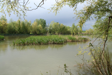 <p>Rio Segre / Wikipedia</p>