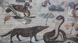 Mosaico en el que aparece representado un meloncillo procedente de la Casa del Fauno (Pompeya).