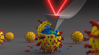 <p>La partícula completa de rotavirus está formada por tres capas de proteína independientes. / ISCIII</p>