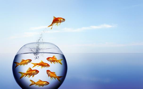 <p>La OMS propone evitar el lenguaje sensacionalista y la descripción explícita de los recursos utilizados en los medios de comunicación. / Fotolia</p>