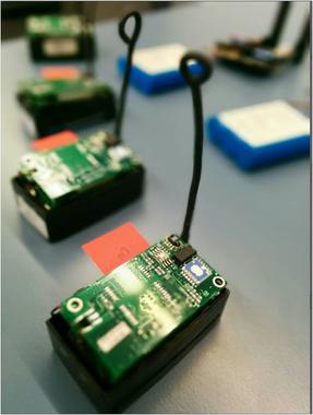 <p>Crean un nuevo sistema de monitorización de la mosca del olivo basado en trampas conectadas a través de una red de sensores, que permitirá combatirlas con más efectividad. / UPF.</p>