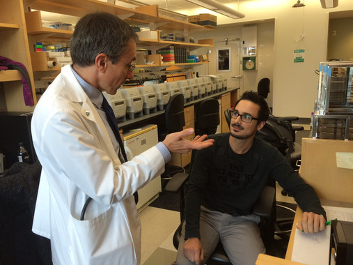<p>Jordi Merino, el primer autor del artículo, junto con otro de los autores, Jose Carlos Florez en el Centro de Medicina Genómica, en el Massachusetts General Hospital. / URV</p>