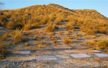 <p>Imagen de los espartales donde se aprecia la escasa cobertura vegetal típica de los ecosistemas semiáridos / María Almagro</p>
