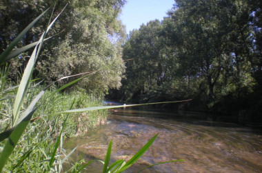 <p>Los efectos del cambio global podrÃ­an incrementar todavÃ­a mÃ¡s la salinidad de los rÃ­os en muchas regiones del mundo. En la fotografÃ­a: rÃ­o Llobregat en Balsareny. Imagen: Grupo de InvestigaciÃ³n FEM-UB.</p>