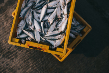 <p>El mercurio es tóxico para el ser humano y se concentra en el pescado. / Pixabay</p>