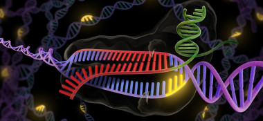 <p>El uso de CRISPR puede provocar mutaciones no controladas. / Universidad de Berkeley</p>