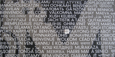 <p>La palabra