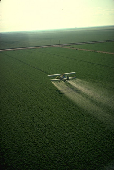 
<!-- START: including template: extension/sinc/design/ezwebin/templates/content/datatype/view/ezxmltags/paragraph.tpl (design:content/datatype/view/ezxmltags/paragraph.tpl) -->
<p>Avión rociando un campo de cultivo con plaguicida. Foto: PD-USGOV-USDA.</p>
<!-- STOP: including template: extension/sinc/design/ezwebin/templates/content/datatype/view/ezxmltags/paragraph.tpl (design:content/datatype/view/ezxmltags/paragraph.tpl) -->
