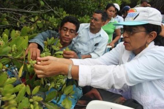 <p>Recogida de muestras en la Isla Juan Venado</p>